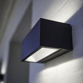 Alpha Lights 20W fixture lighting up a garden pathway